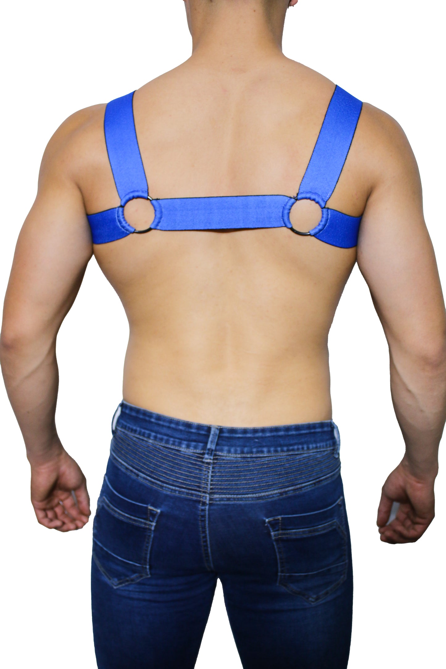 DUHA HARNESS DARMX012