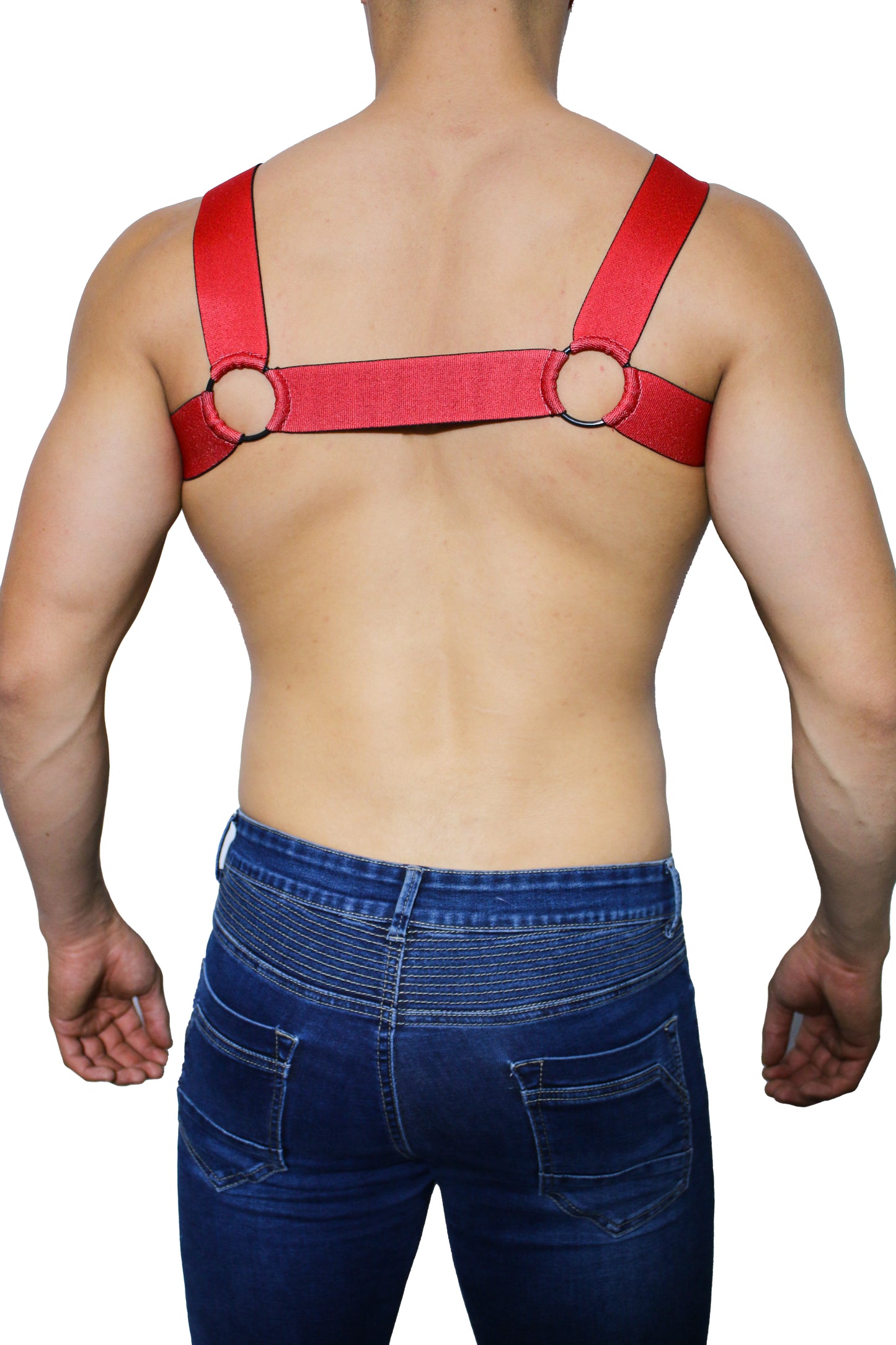 DUHA HARNESS DARMX013
