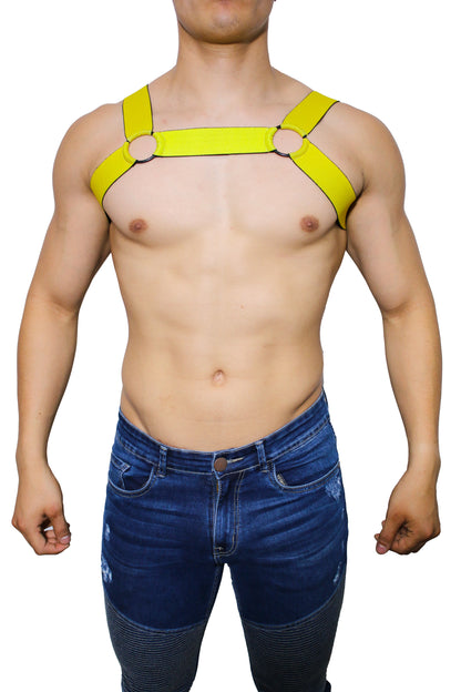 ARNES DUHA DARMX014