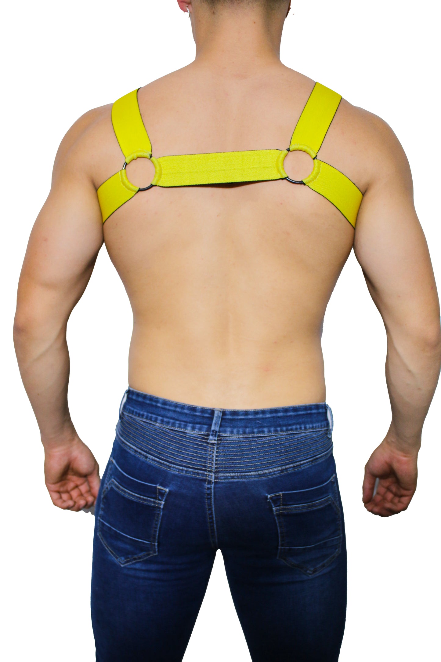 ARNES DUHA DARMX014